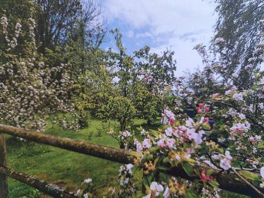 Nature Charm & Fruit Delights, Multi-Generation Celebratory Home -Try, Relax, Repeat - Sellindge 阿什弗德 外观 照片