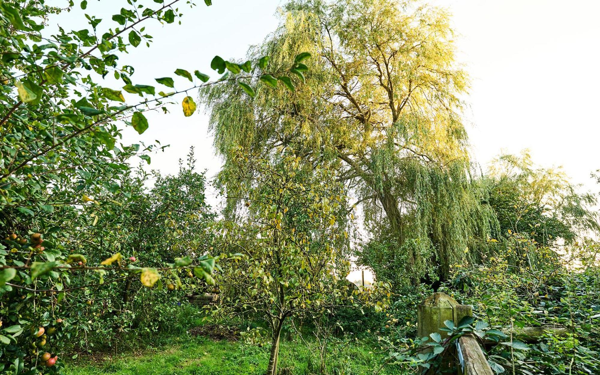 Nature Charm & Fruit Delights, Multi-Generation Celebratory Home -Try, Relax, Repeat - Sellindge 阿什弗德 外观 照片